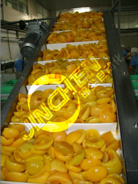 一臺爬坡塑鋼網帶線在輸送水果