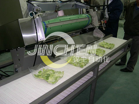 上海錦塵雙層直線網帶輸送機